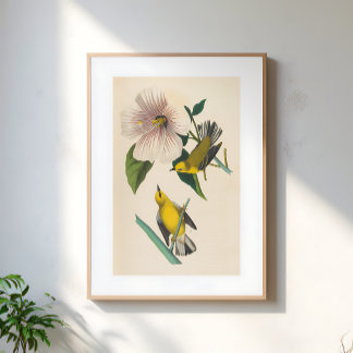 Vintage Yellow Birds On Flower Illustration ポスター