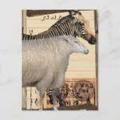 Vintage Zebra and Sheep Mixed Media Collage ポストカード (正面)