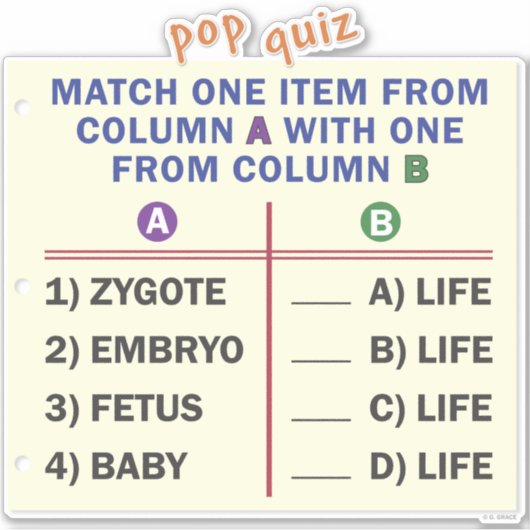 Vinyl sticker with a quiz. シール (正面)