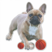  Vinylaufkleber Französische Bulldogge  Aufkleber シール (正面)