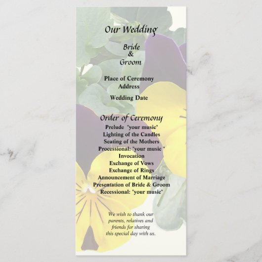 Violas Sorbet Yellow Jump Up プログラム (正面)