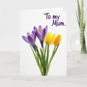 Violet Blooms Mum Card カード (正面)