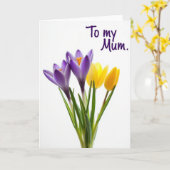Violet Blooms Mum Card カード (黄色い花)