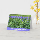 Violet Bluebells Photography  カード (黄色い花)