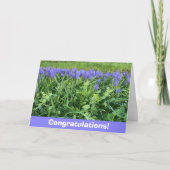 Violet Bluebells Photography  カード (正面)