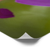 Violet Cattleya Orchid Cattleya violacea （ヴァイオレット・ ポスター (角)