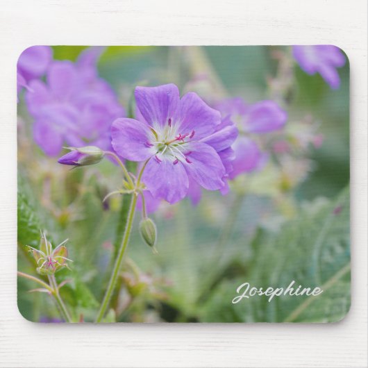 Violet Geranium Wildflowerのフローラ写真(名前あり) マウスパッド (正面)