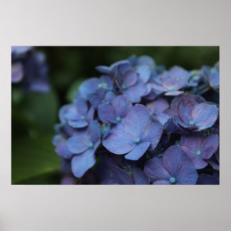 Violet in Twilightポスター ポスター