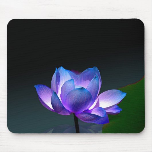 Violet Lotusフル開花, mousepad マウスパッド (正面)