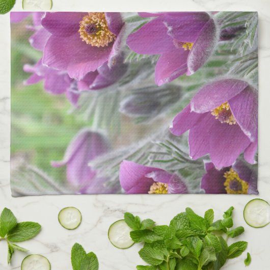 Violette Stern-Kuhschelle キッチンタオル (折り畳み)