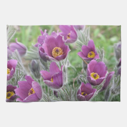 Violette Stern-Kuhschelle キッチンタオル (横)