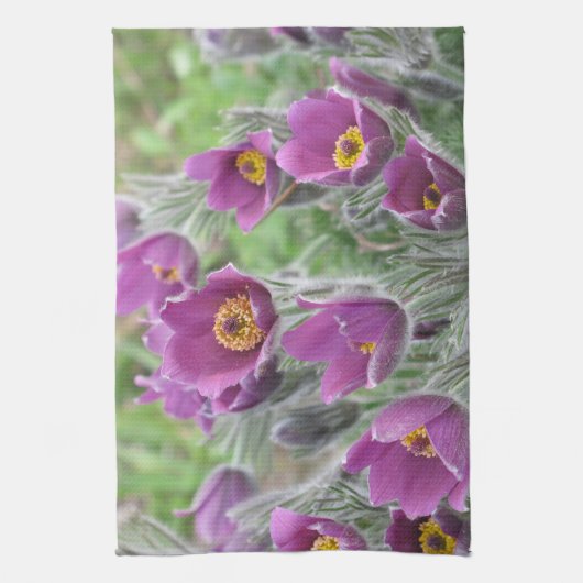 Violette Stern-Kuhschelle キッチンタオル (縦)