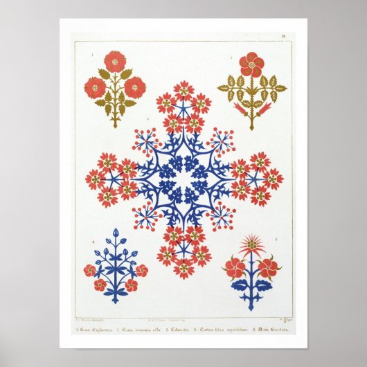 Violiet，アイリスとチューリップの壁紙デザイン, pr ポスター (正面)