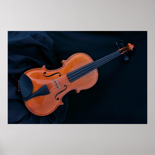 Violin Photo Closeup ポスター (正面)