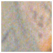 Violín/Violin ファブリック (クローズアップ)