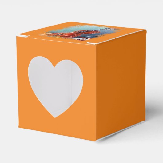 Violín/Violin フェイバーボックス (正面サイド)