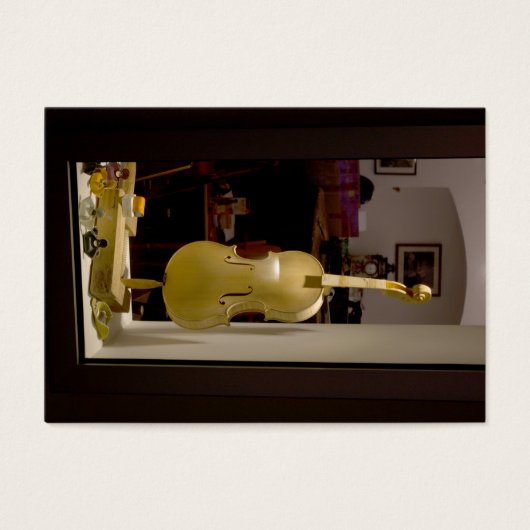 Viorin Inショッピングウィンドウ (正面)