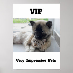 VIP非常に印象的なペットかわいい猫の犬のポスター ポスター