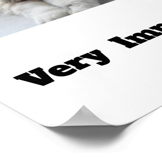 VIP非常に印象的なペットかわいい猫の犬のポスター ポスター (角)