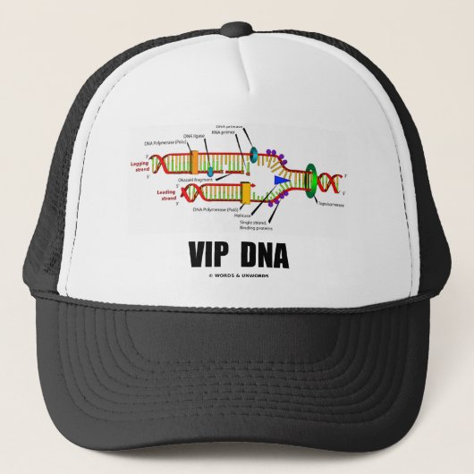 VIP DNA (DNAの写しのユーモア) キャップ (正面)