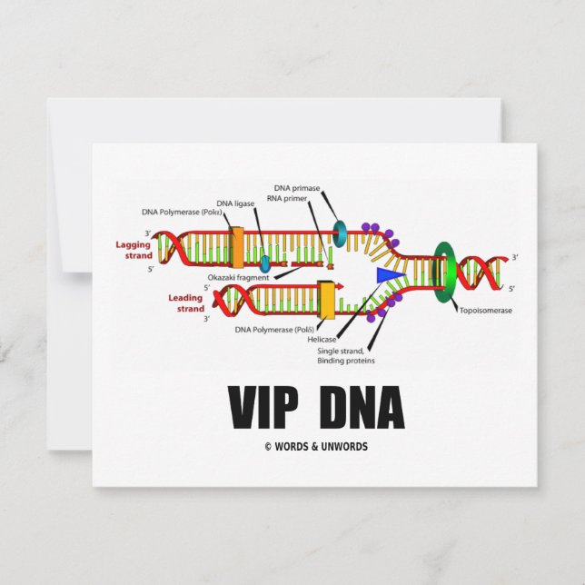 VIP DNA（DNA複製ユーモア） (正面)