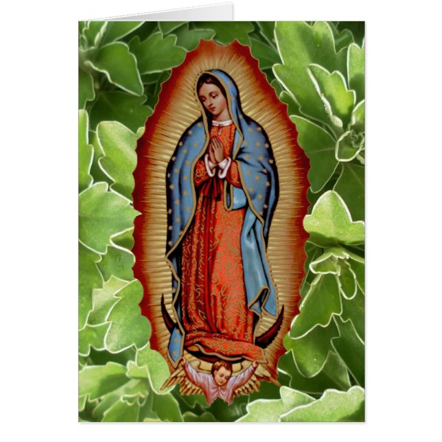 VIRGEN DEグアダルペのコレクション (正面)