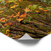 virginia5050 ポスター (角)