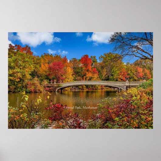 virginia5050 ポスター (正面)