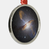 virginia5050 メタルオーナメント (右)