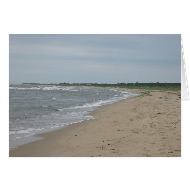 Virginia Beachのチェサピーク湾 (正面横)