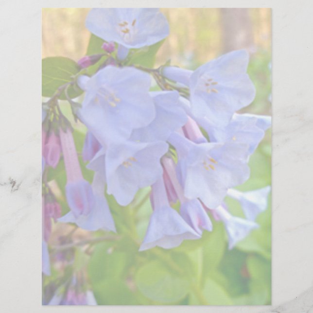 Virginia Bluebellsコーディネート項目 (正面)