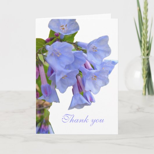 Virginia Bluebells Thank You Coordinated Item サンキューカード (正面)