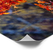 Virginia Creeper bright red in autumn at ポスター (角)