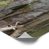 Virginia Falls II at Glacier National Park ポスター (角)