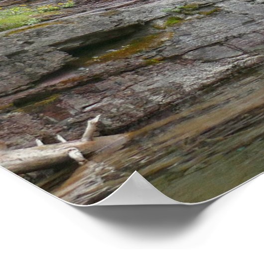 Virginia Falls II at Glacier National Park ポスター (角)