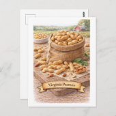 Virginia Peanuts (American Food Series) ポストカード (正面/裏面)