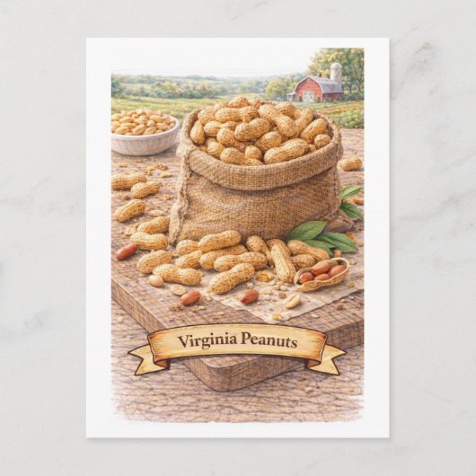 Virginia Peanuts (American Food Series) ポストカード (正面)