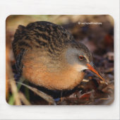 Virginia Rail Waterbird in the Underbrush マウスパッド (正面)