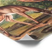 Virginian Deer (Cervus Virginianus) Illustration ポスター (角)