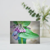 Virginina Bluebells ポストカード (スタンド正面)