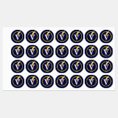 VIRTUE HEROES V-flame Iron-on Clothingラベル ラベル (シート)