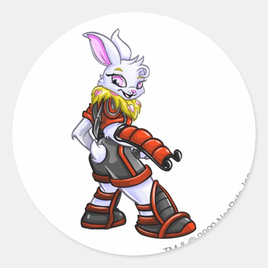 Virtupets宇宙ステーションチームキャプテン2 ラウンドシール (正面)