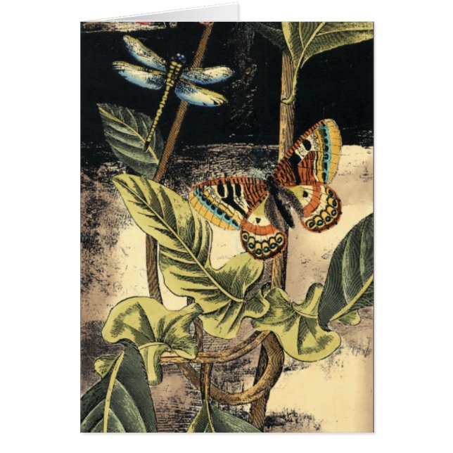 Vision Studioによる暗い自然シーン (正面)