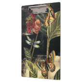 Vision Studioによる暗い自然シーン クリップボード (左)