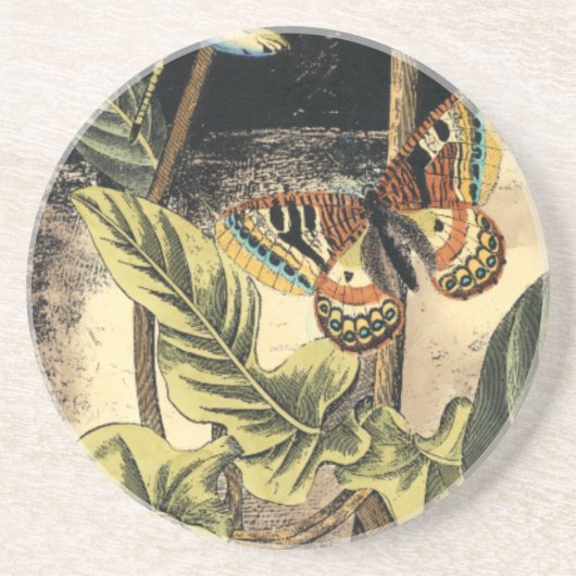 Vision Studioによる暗い自然シーン コースター (正面)