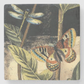 Vision Studioによる暗い自然シーン ストーンコースター (正面)