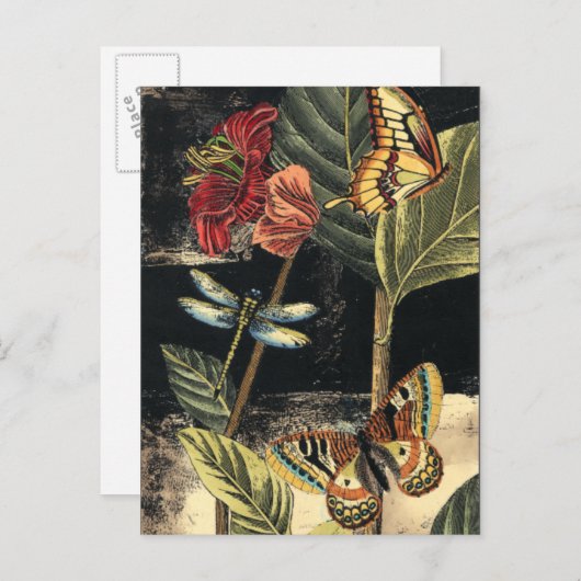 Vision Studioによる暗い自然シーン ポストカード (正面/裏面)