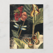 Vision Studioによる暗い自然シーン ポストカード (正面)