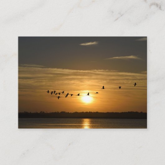 Visions of St. Augustine, Florida Business Card 名刺 (正面)