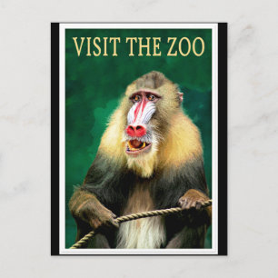 Visit the Zoo, vintage travel poster ポストカード